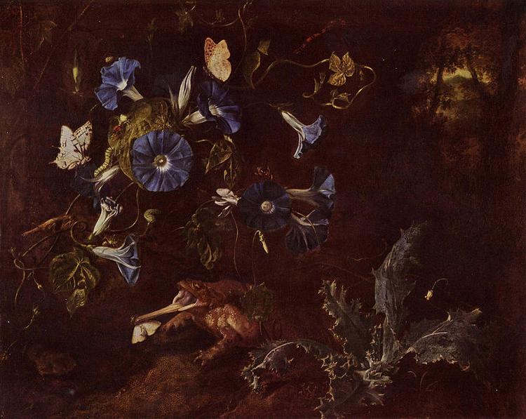 SCHRIECK, Otto Marseus van Blaue Winde, Krote und Insekten Sweden oil painting art